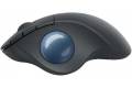 Logitech Ergo M575 Business Mouse - Graphite