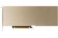 PNY NVIDIA A10