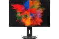 24" Fujitsu P2410 WS