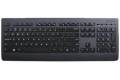 Lenovo Professional