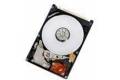 HGST Endurastar J4K100 HEJ421010G9SA00