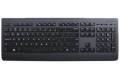 Lenovo Professional