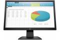 HP 19" P204
