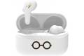 OTL Harry Potter