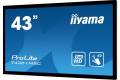 iiyama 43" ProLite T4361MSC-B1