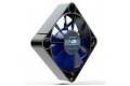 Endgame Gear XM1 Gaming Mouse