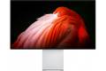 Apple Pro Display XDR Standard Glass