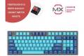 Cherry Axis   96 Key Cherry MX PBT Keycap Mechanical Gaming Keyboard with Removable Magnetic Panel