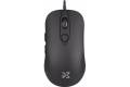 Dream Machines DM1 FPS