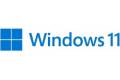 Microsoft Windows 11 Pro