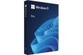 Microsoft Windows 11 Pro (USB)