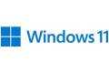 Windows 11 Home USB (engelska)