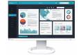 24"" EIZO EV2490