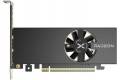 XFX Radeon RX 6400 Speedster