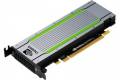 Hpe Nvidia Tesla T4 16 Gb Gddr6 16gb