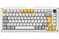 iQunix ZX75: Gravity Wave RGB- TTC Silent Brown