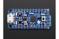 Adafruit Pro Trinket