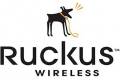 Ruckus Wireless Ruckus