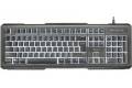 Trust Lito Backlit Multimedia Tastatur, kabelgebunden