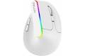 DeLUX Wireless Vertical Mouse Delux M618DB BT4.0 + 2.4Ghz 4000DPI RGB