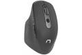 Natec wireless mouse Falcon optical 3200DPI 2.4GHz