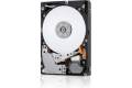 Seagate