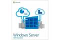 Microsoft OEM Windows Svr Standard 2019 PL x64 24Core DVD P73-07814-P73-07814
