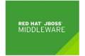 JBoss Technical Account Management