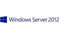 Microsoft Windows Server 2012 R2 Foundation Edition - Licens - 1 processor - OEM - ROK - DVD - BIOS-låst (Hewlett-Packard) - Flersproget - EMEA