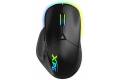 XPG ALPHA Wired Gaming Mouse - Black w/ RGB + Omron Switches USB-C Connection 6 Programmable Buttons:Exokeleton Design PAW 3335 Sensor.