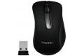 Canyon CNE-CMSW2