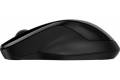 HP 250 Dual Wireless Mouse (svart)
