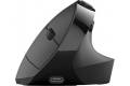 JLab JBUDS ERGONOMIC