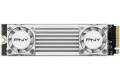 PNY XLR8 CS3150