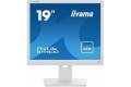 19"" iiyama ProLite B1980D-W5