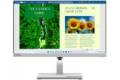 24"" Lenovo L24m-40