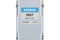 Kioxia PM7-R Series KPM71RUG30T7