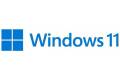 Microsoft Windows 11 Pro for Workstations Polska