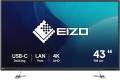 Eizo Flexscan Ev4340x 42.5"" 3840 × 2160pixels Ips 16:9