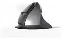 STANDIVARIUS AVE mouse