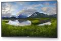 Dell P5524Q