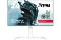 24"" iiyama GB2470HSU-W6