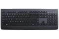 Lenovo Professional