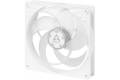 Arctic P14 PWM PST White/Transparent