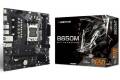 Biostar B650MT