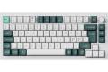 Keychron Q1 HE 75% QMK trådlöst gaming (vit)