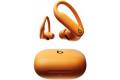 Beats Powerbeats Pro 2