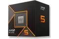 AMD Ryzen 5 9600