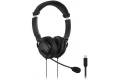 Kensington USB-C Hi-Fi chat