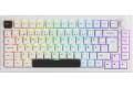 Akkogear 5075B Plus-S Black on White Akko V3 Cream Yellow Pro